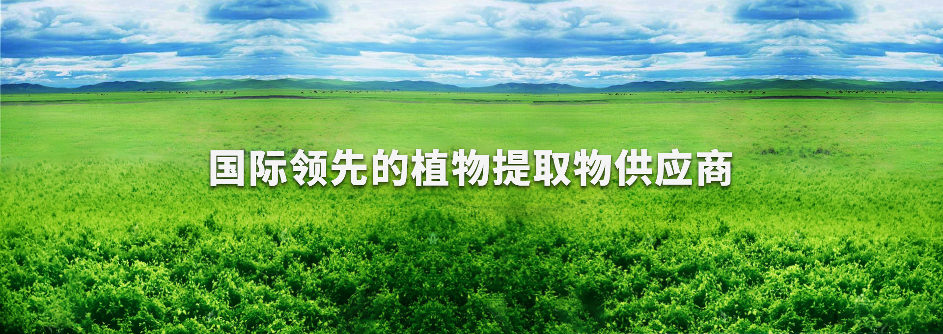 28圈(中国游)官网注册 -APP下载