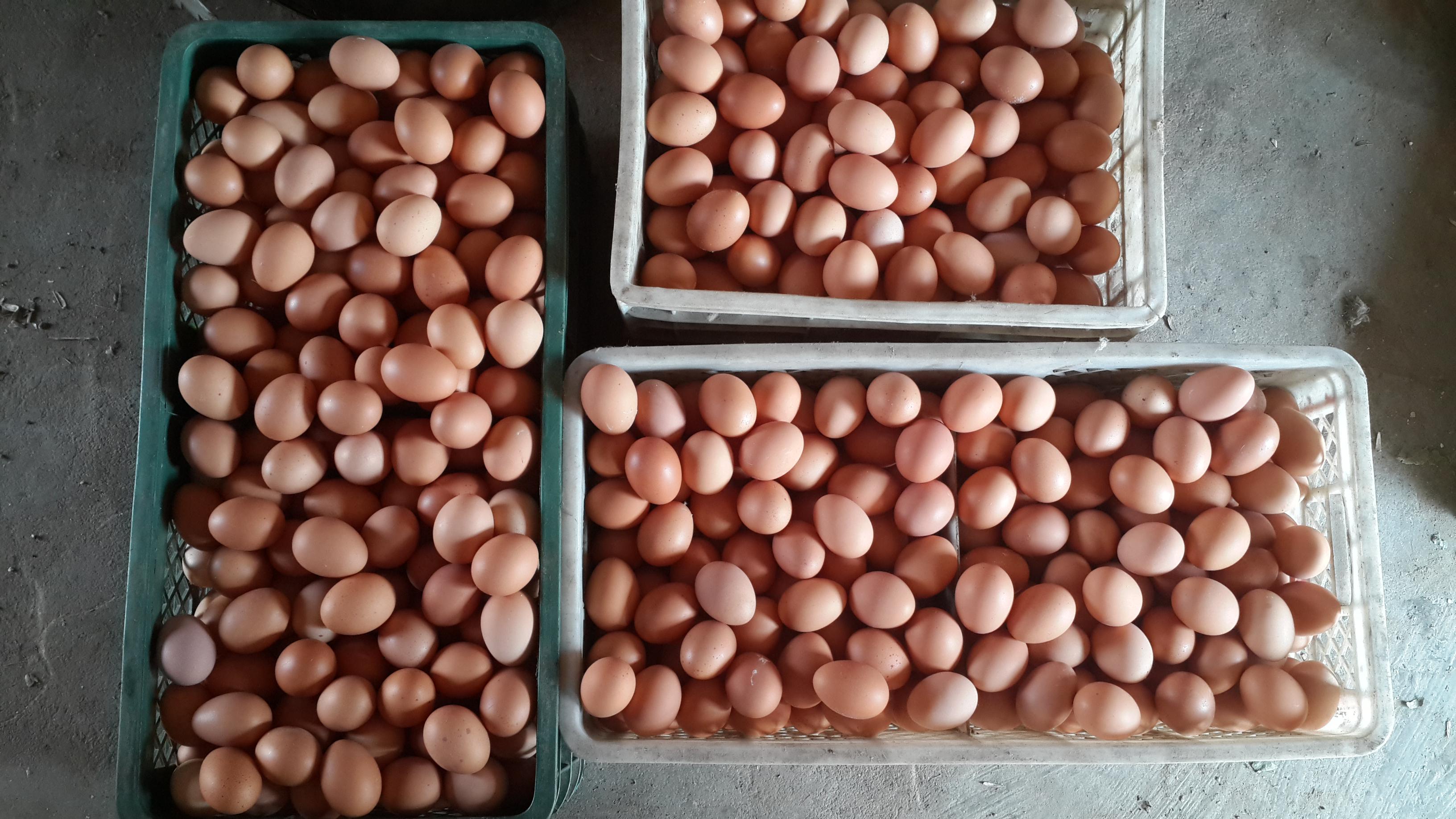 28圈(中国游)官网注册 -APP下载