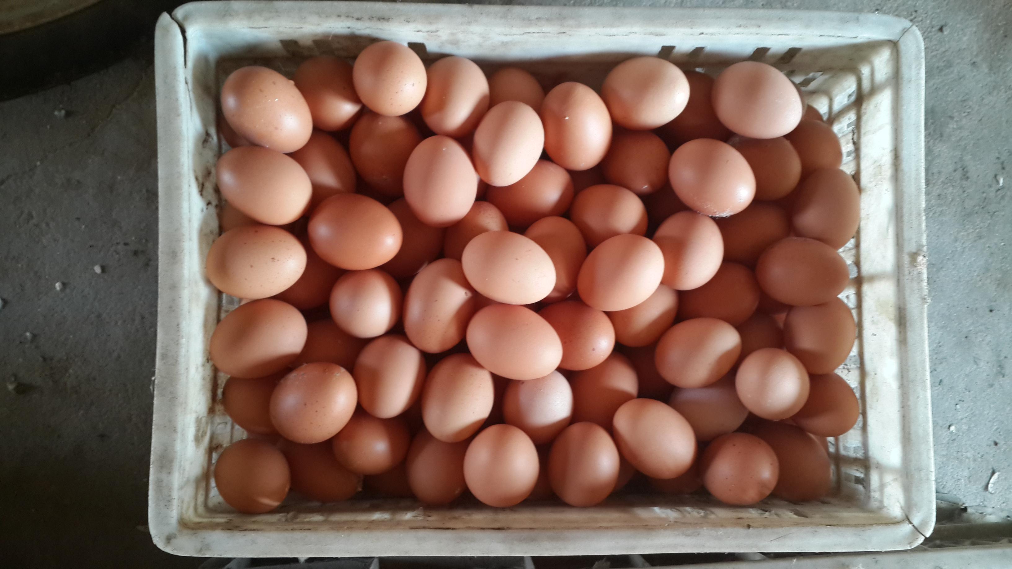 28圈(中国游)官网注册 -APP下载