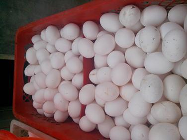 28圈(中国游)官网注册 -APP下载