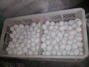 28圈(中国游)官网注册 -APP下载