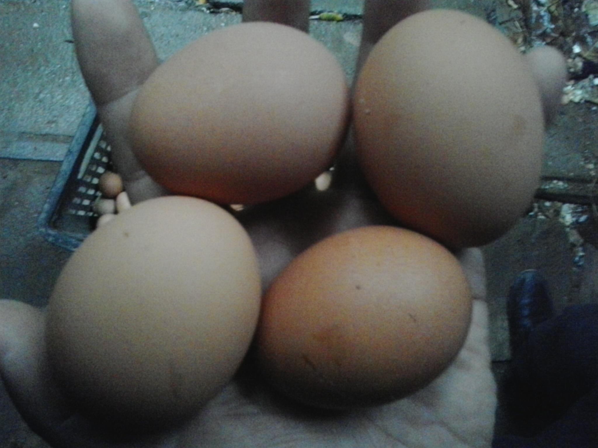 28圈(中国游)官网注册 -APP下载