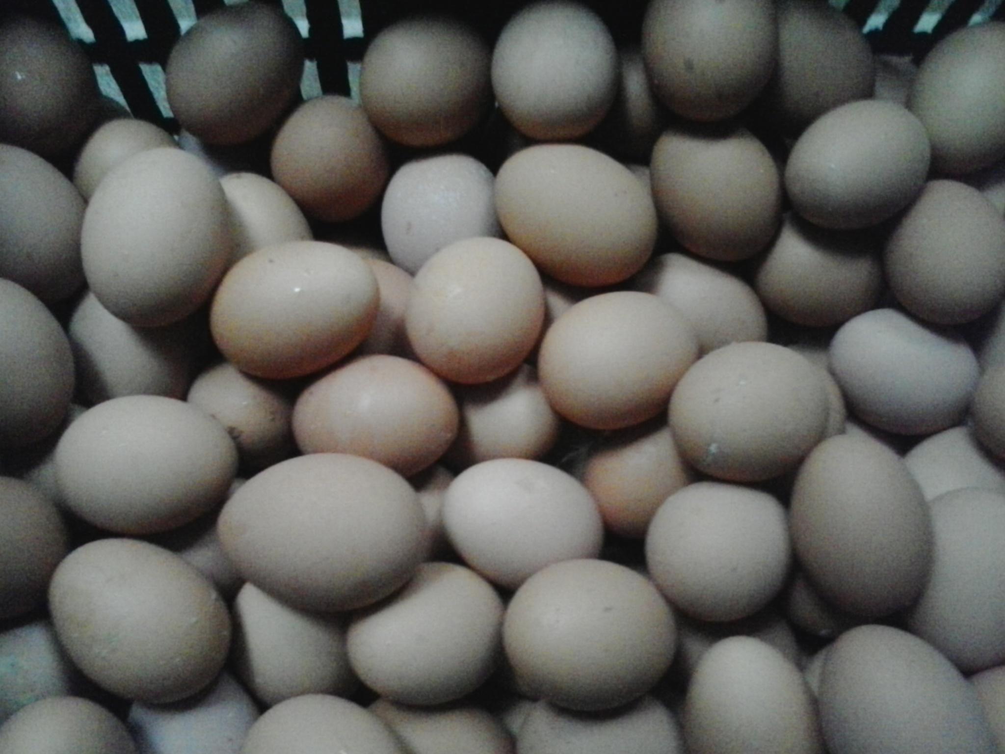 28圈(中国游)官网注册 -APP下载