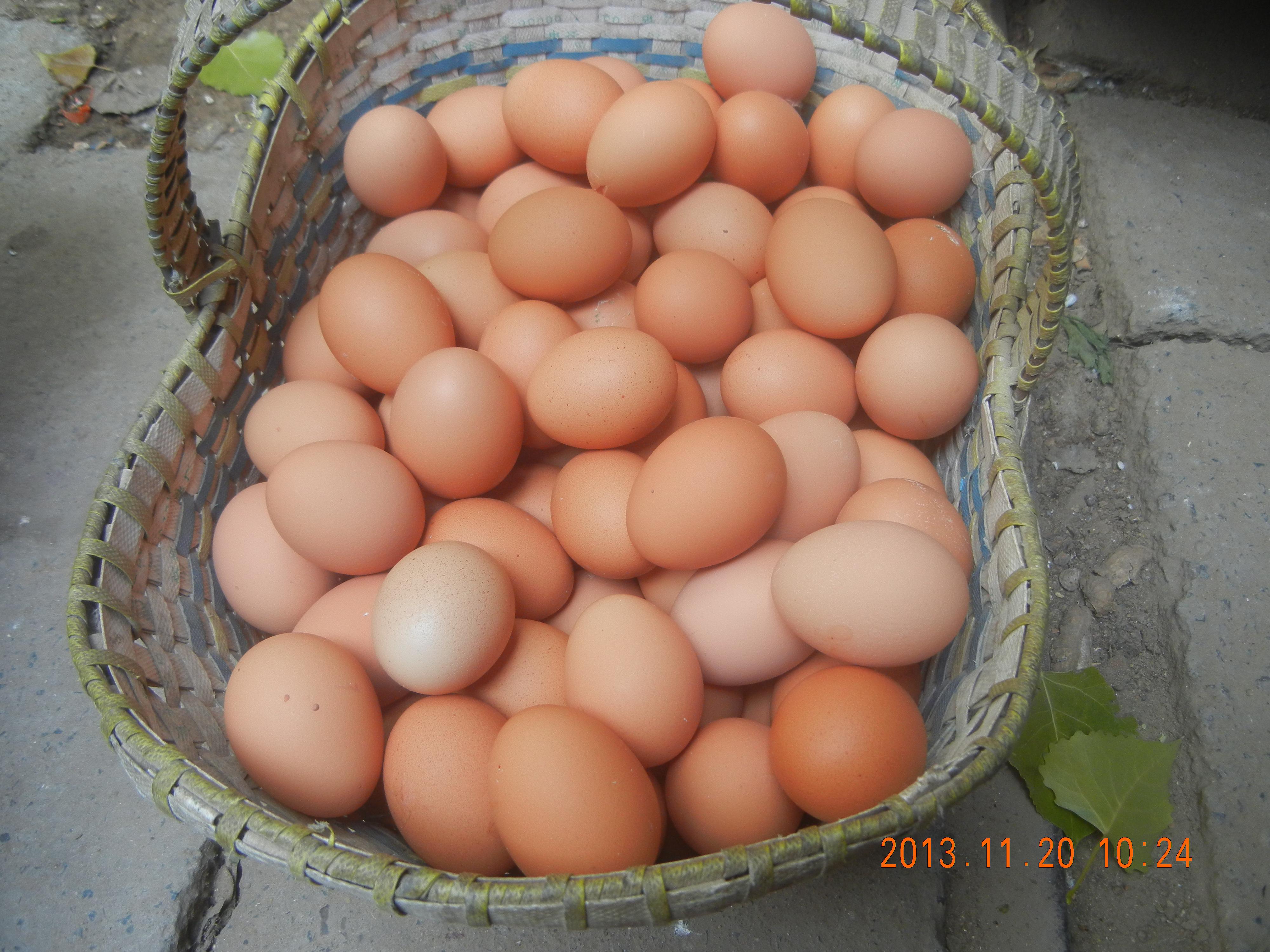 28圈(中国游)官网注册 -APP下载