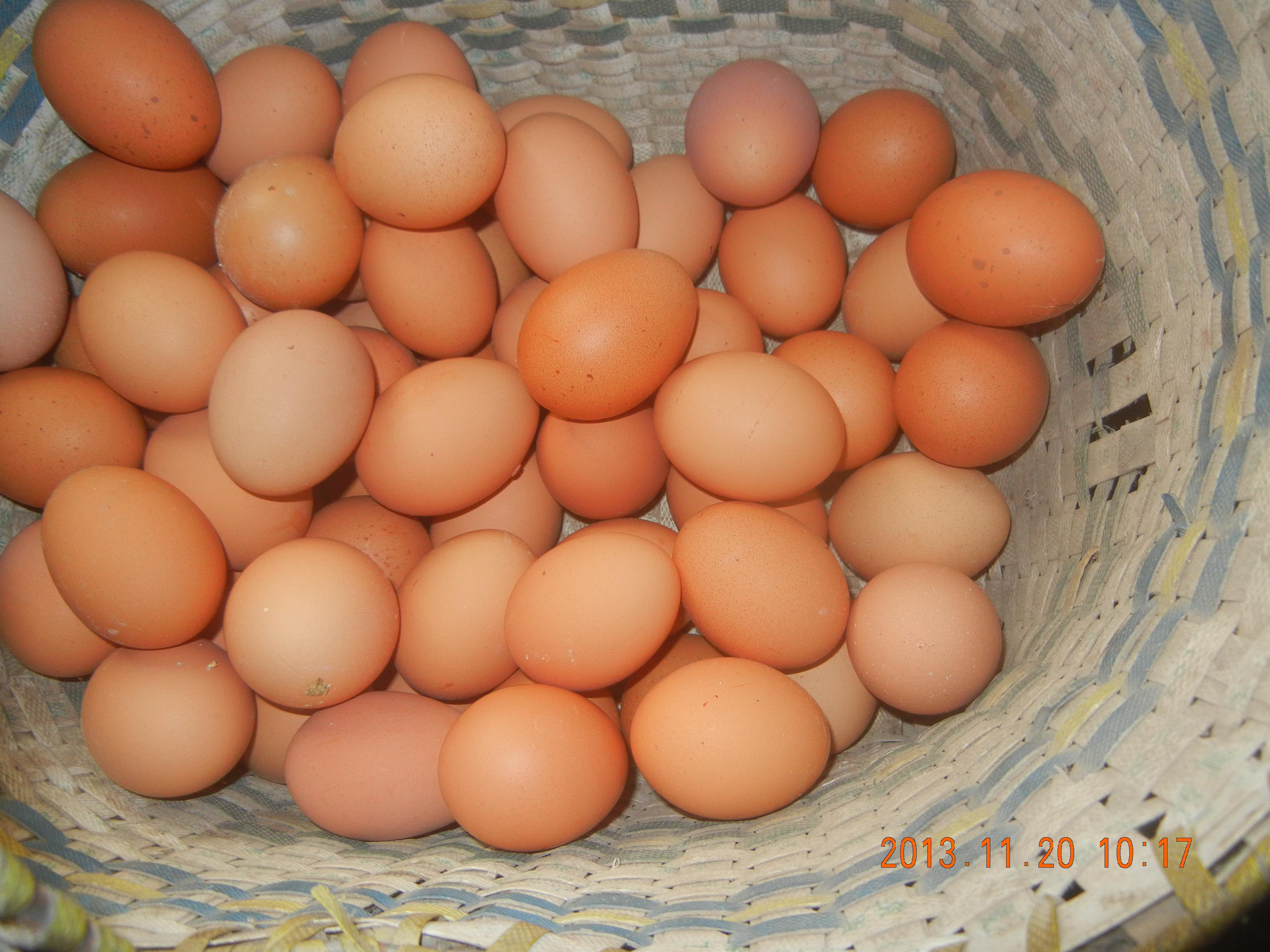 28圈(中国游)官网注册 -APP下载