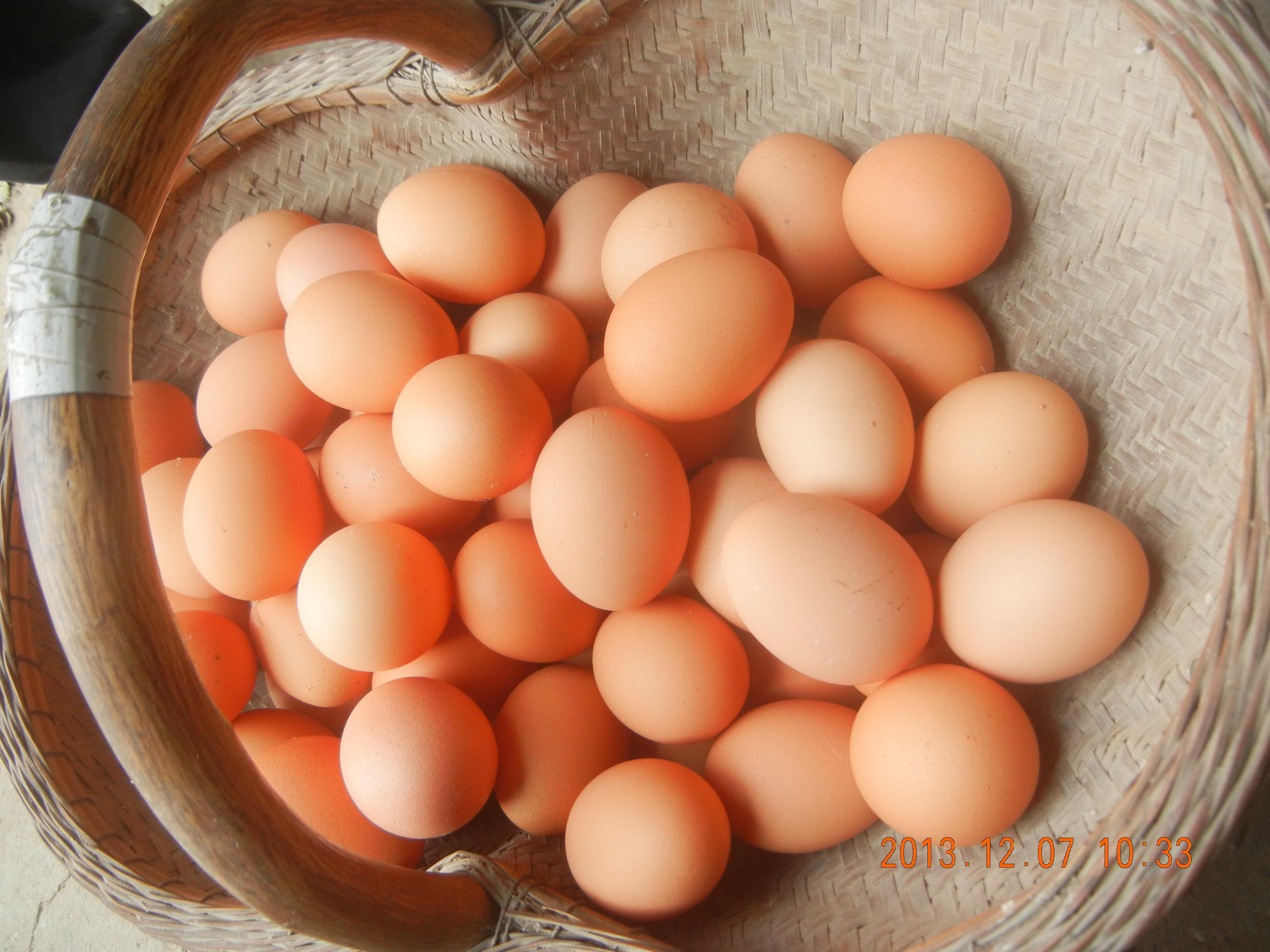 28圈(中国游)官网注册 -APP下载