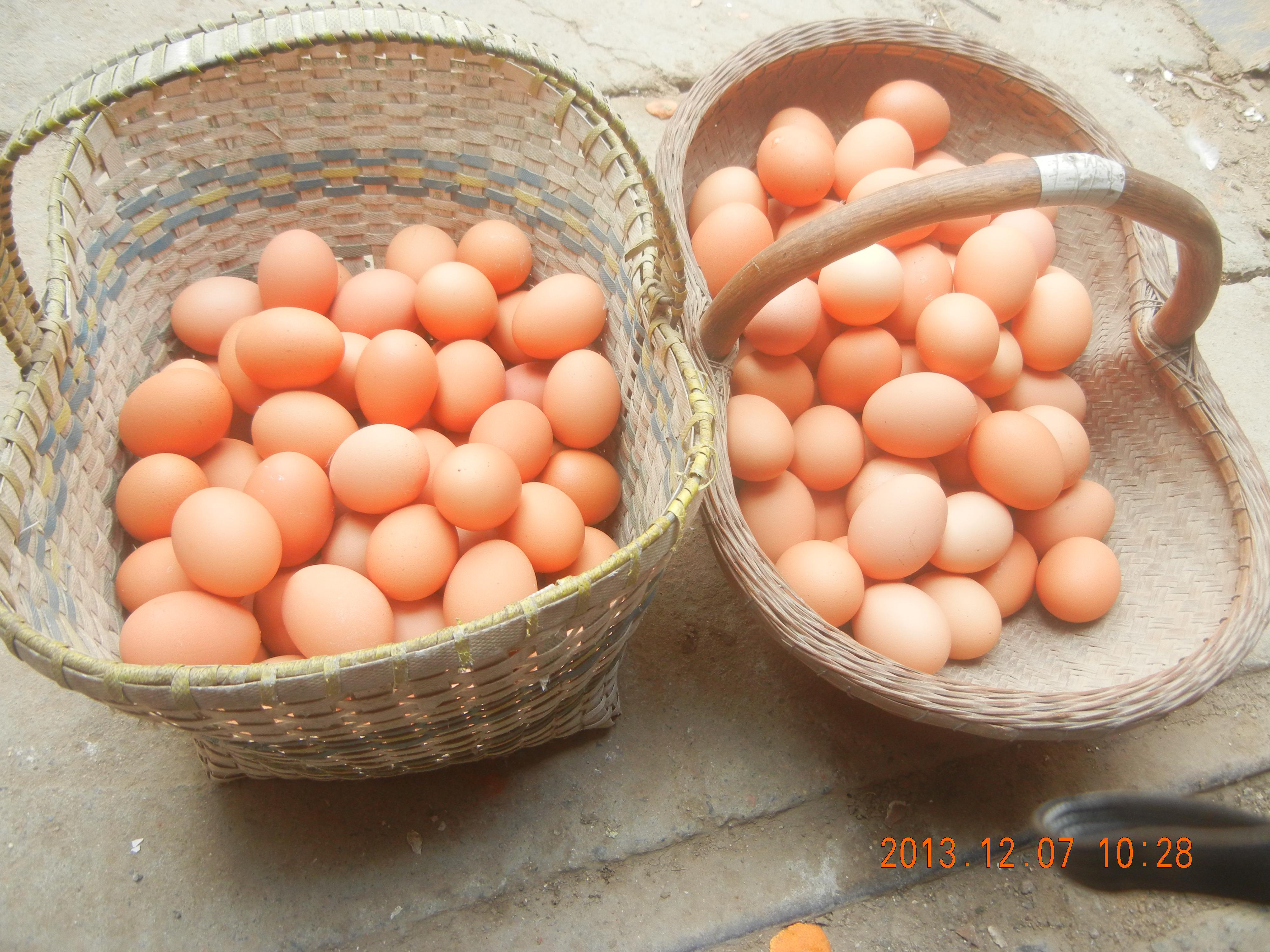 28圈(中国游)官网注册 -APP下载