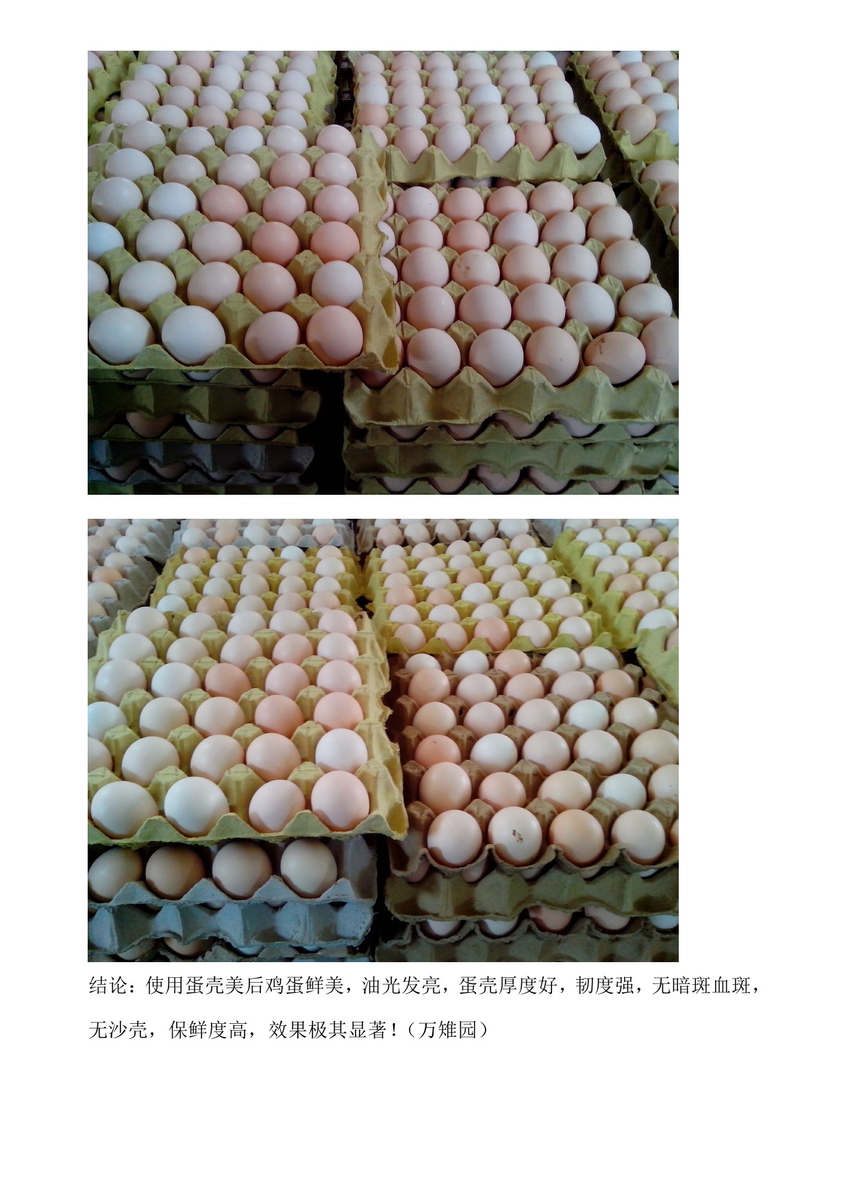 28圈(中国游)官网注册 -APP下载