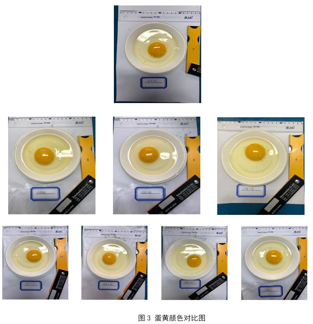 28圈(中国游)官网注册 -APP下载