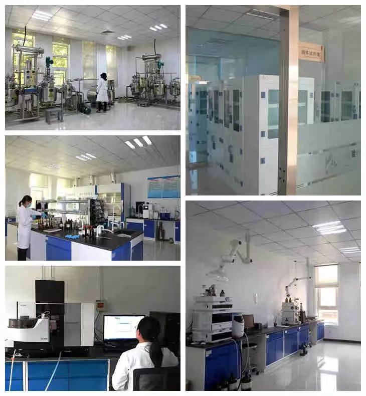 28圈(中国游)官网注册 -APP下载