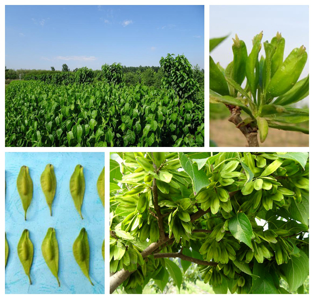 28圈(中国游)官网注册 -APP下载